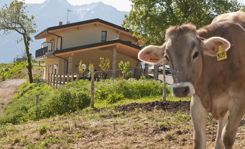 Agriturismo Al Franet Tremosine Exterior foto